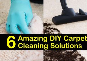 Do It Yourself area Rug Cleaning 6 Amazing Diy Carpet Cleaning solutions