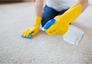 Do It Yourself area Rug Cleaning Do-it-yourself Carpet Cleaning Mistakes – Dan Dan the Carpet Man
