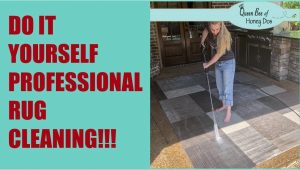 Do It Yourself area Rug Cleaning Do It Yourself Professional Rug Cleaning!