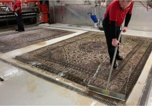 Do It Yourself area Rug Cleaning How to Properly Clean Your area Rug Woodard