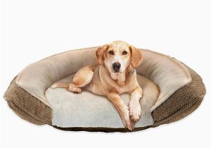Dog Rug Bed Bath and Beyond Dog Beds Bed Bath & Beyond