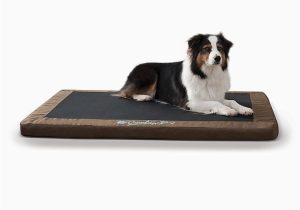 Dog Rug Bed Bath and Beyond K&hÂ® Comfy N’ Dry Medium Indoor/outdoor Bed Bed Bath & Beyond