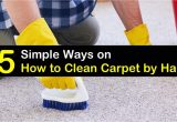 Easy Way to Clean area Rug 5 Simple Ways On How to Clean Carpet by Hand