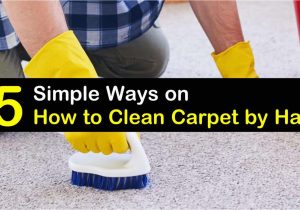 Easy Way to Clean area Rug 5 Simple Ways On How to Clean Carpet by Hand