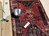 Easy Way to Clean area Rug Rachel Schultz: How to Wash A Thrifted Rug (it is Easy)