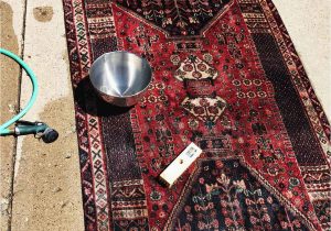 Easy Way to Clean area Rug Rachel Schultz: How to Wash A Thrifted Rug (it is Easy)
