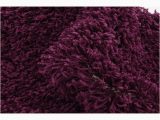 Eggplant Colored Bathroom Rugs Eggplant Bath Rugs Taraba Home Review