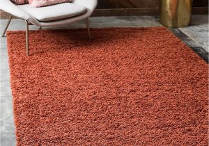 Extra Large area Rugs Amazon Bravich Rugmasters Terracotta orange Extra Extra Rug 5 Cm Thick Shag Pile soft Shaggy area Rugs Modern Carpet Living Room Bedroom Mats 200 X 290