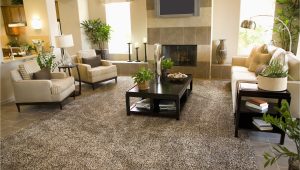 Extra Large area Rugs Near Me where to Find Extra Large area Rugs Lovetoknow