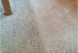 Get Wrinkles Out Of area Rug Reddit, Help Me Out! I’ve Tried Folding It Along the Crease In the …
