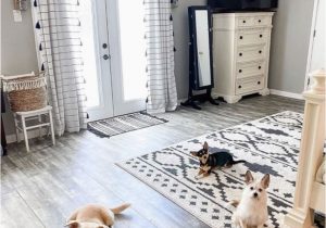 Good area Rugs for Dogs Pin On Pet Friendly Rugs