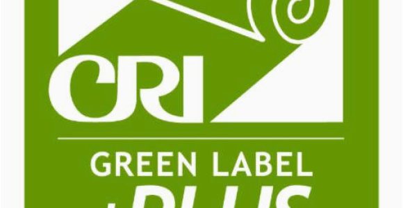 Green Label Plus area Rugs Green Label Plus for Carpet Cushion – the Urethane Blog