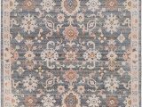 Grey and Peach area Rug Amazon somerdale 6 X 9 Rectangle Updated Traditional