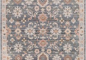 Grey and Peach area Rug Amazon somerdale 6 X 9 Rectangle Updated Traditional