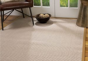 Hearth and Hand area Rugs Albrecht Hand Woven Beige area Rug