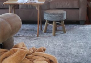 Inexpensive area Rugs for Living Room the Best Inexpensive area Rugs and How to Get the Bumps
