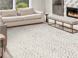 Jennifer Adams Eternal Plush area Rug Jennifer Adams Eternal Plush area Rug Ojai Natural