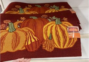 Kohls area Rugs In Store Kohl S Fall Accent Rugs Ly $12 Reg $30