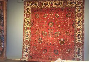 Largest Selection Of area Rugs We Have the Largest Rug Selection In the Entire Bay area