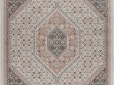 Navy and Blush area Rug Amazon Ivory and Blush Botanical Traditional area Rug