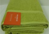 Opalhouse Perfectly soft Bath Rug Two 2 Opalhouse Perfectly soft Bath Sheet towel Green 33" X 63"