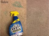 Oxiclean Carpet and area Rug Cleaner Smiley360 Mission: Oxicleanâ¢ Carpet & area Rug Stain Remover …