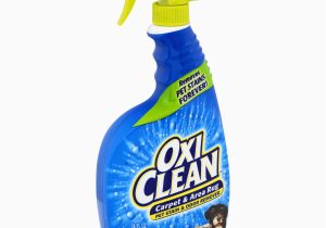 Oxiclean Carpet and area Rug Oxiclean Pet Stain & Odor Remover, Carpet & area Rug