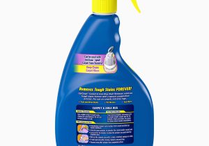 Oxiclean Carpet and area Rug Stain Remover Oxiclean Carpet & area Rug Stain Remover Spray, 24 Oz.
