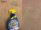 Oxiclean Carpet and area Rug Stain Remover Smiley360 Mission: Oxicleanâ¢ Carpet & area Rug Stain Remover …