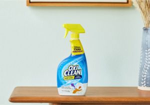 Oxiclean Carpet and area Rug Stain Remover the 9 Best Carpet Stain Removers Of 2022, According to Our Testing