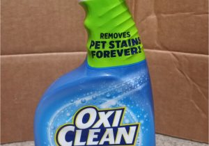 Oxiclean Carpet area Rug Stain Remover Oxiclean Carpet & area Rug Pet Stain & Odor Remover, 24oz