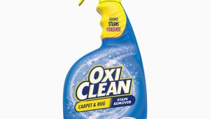Oxiclean Carpet area Rug Stain Remover Oxiclean Carpet & area Rug Stain Remover Spray, 24 Oz.