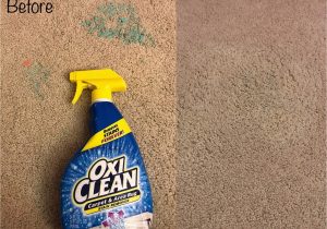 Oxiclean Carpet area Rug Stain Remover Smiley360 Mission: Oxicleanâ¢ Carpet & area Rug Stain Remover …