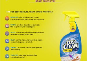 Oxiclean Carpet area Rug Stain Remover Spray Oxiclean Carpet & Rug, Stain Remover Spray 709 Ml â Oxiclean India