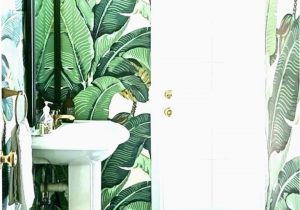 Palm Tree Rugs Bathrooms Palm Tree Bath R Tropical Bathroom Accessories Set Medium