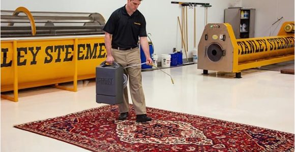 Places that Clean area Rugs Near Me oriental Rug Cleaning Stanley Steemer