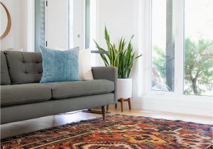 Places to Get area Rugs Cleaned area Rug Cleaning toronto Kasra Persian Rugs toronto