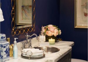 Powder Blue Bathroom Rugs Navy Blue and Gold Powder Bath Acehardware