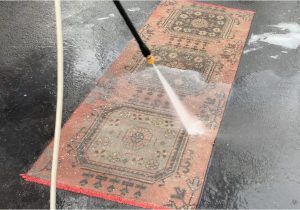 Pressure Washing An area Rug Power Washing A Rug