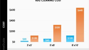 Professional area Rug Cleaning Cost 2022 Rug Cleaning Costs Professional area Rug Cleaning Prices