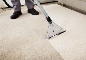 Professional area Rug Cleaning Cost How Much Does Carpet Cleaning Overall Cost? â Latest Prices