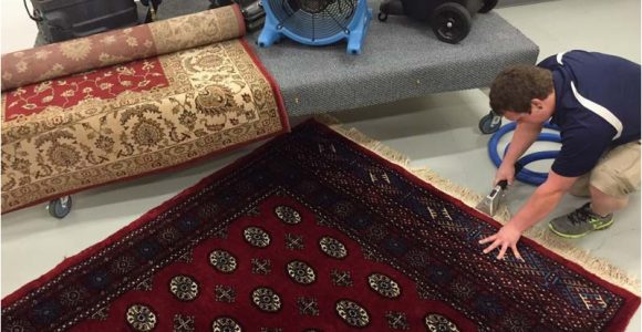 Professional area Rug Cleaning Near Me area Rug Cleaning Drop Off Brothers Cleaning Services