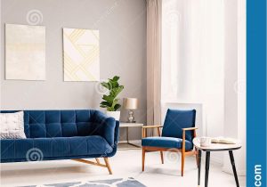 Rug for Blue Couch Elegant Living Room Interior with A Dark Blue Couch and A