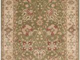 Sage Colored area Rugs 8×10 Rug at21d Antiquity area Rugs by Safavieh