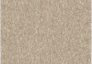 Solid Color area Rugs 6×9 orian Rugs Next Generation solid Platinum Shag area Rug 7 10" X 10 10" Tan