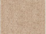 Solid Color area Rugs Lowes area Rugs Details Hgtv Home Flooring by Shaw Kashmir 3ve71