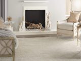 Solid Ivory area Rug 8×10 Amazon.com: Nourison Essentials solid Contemporary Ivory Beige 8 …