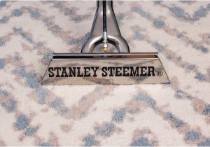 Stanley Steemer area Rug Cleaner Specialized Off-site Rug Cleaning