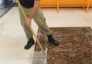 Stanley Steemer area Rug Cleaner Stanley Steemer Safely Cleans area Rugs
