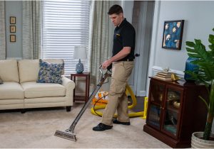Stanley Steemer area Rug Cleaning Cost Moving Cleaning Services Stanley Steemer